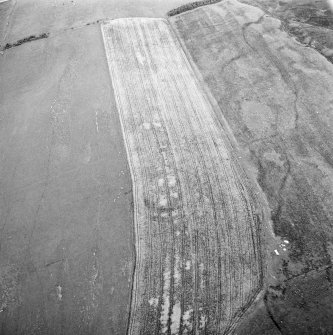 Oblique aerial view centred on the cropmarks of the fort, taken from the SW.