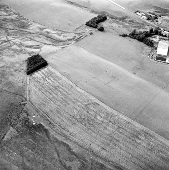 Oblique aerial view centred on the cropmarks of the fort, taken from the E.