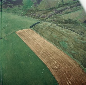 Oblique aerial view centred on the cropmarks of the fort, taken from the WSW.