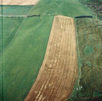 Oblique aerial view centred on the cropmarks of the fort, taken from the SW.