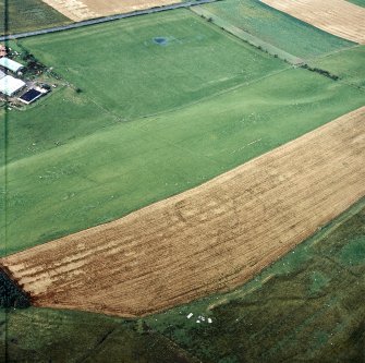 Oblique aerial view centred on the cropmarks of the fort, taken from the SSE.