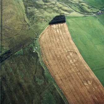 Oblique aerial view centred on the cropmarks of the fort, taken from the ENE.