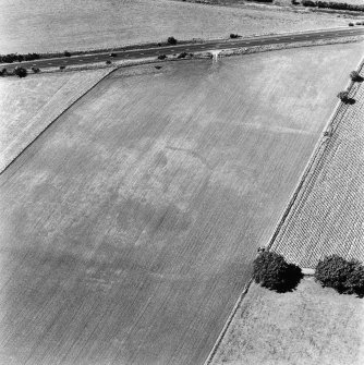 Bryland and Harestanes, oblique aerial view, taken from the SE, centred on the cropmarks of a possible enclosure. A linear cropmark is visible in the top half of the photograph.