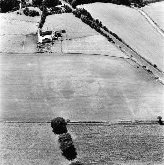 Bryland and Harestanes, oblique aerial view, taken from the NE, centred on the cropmarks of a possible enclosure. A linear cropmark is visible in the centre right of the photograph.