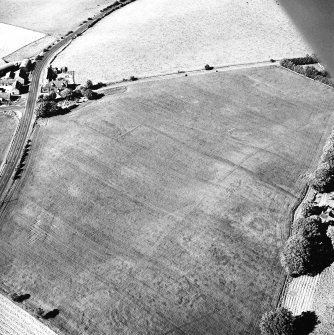 Old Harestanes, oblique aerial view, taken from the SSW, centred on cropmarks of ring-ditches, and a number of linear cropmarks. The cropmarks of the SW side of Castlecraig Roman temporary camp and an adjoining possible enclosure are also visible.