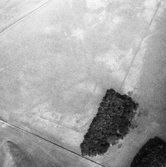 Oblique aerial photograph