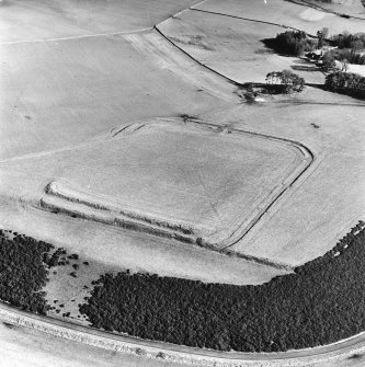 Lyne Roman Fort, oblique aerial view, taken from the WSW.