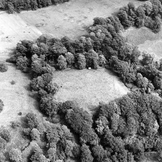 Tocherknowe, oblique aerial view, taken from the WNW, centred on the cropmarks of a Roman fortlet.