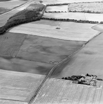 Oblique aerial view centred on the cropmarks of coal pits, taken from the NE.