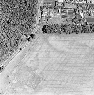 Oblique aerial view of Froickheim centred on the town, and the cropmarks of an enclosure, rig and linear cropmarks, taken from the SW.