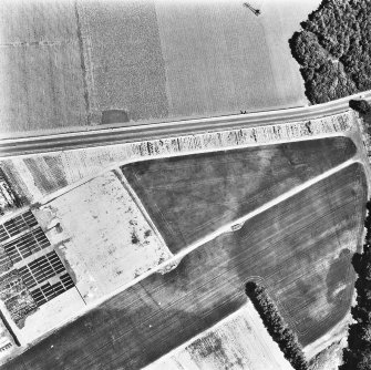 Melville Nurseries, ring-ditch and linear cropmarks: oblique air photograph.