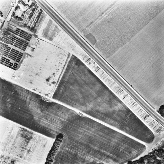 Melville Nurseries, ring-ditch and linear cropmarks: oblique air photograph.