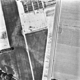 Melville Nurseries, ring-ditch and linear cropmarks: oblique air photograph.