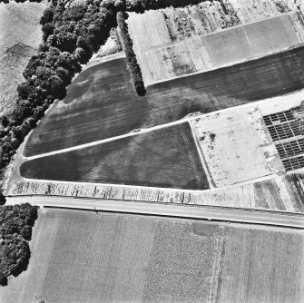 Melville Nurseries, ring-ditch and linear cropmarks: oblique air photograph.