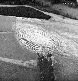 Oblique aerial view