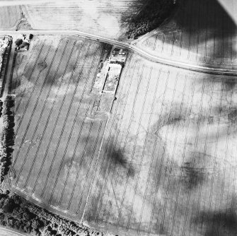 Thornybank, oblique aerial view, taken from the ESE, centred on cropmarks and a ring-ditch. A possible settlement is visible in the top left-hand corner of the photograph.