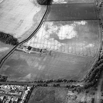 Thornybank, oblique aerial view, taken from the S, centred on cropmarks including a ring-ditch.