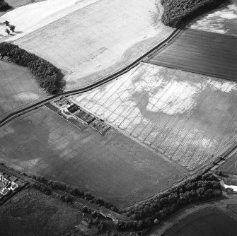 Thornybank, oblique aerial view, taken from the SSE, centred on cropmarks including a ring-ditch.