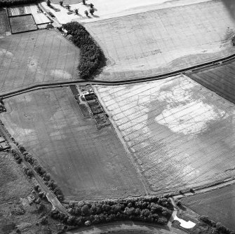 Thornybank, oblique aerial view, taken from the SE, centred on cropmarks including a ring-ditch.