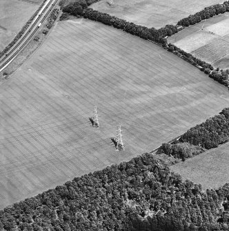 Oblique aerial view centred on the cropmarks of the pit-alignment, taken from the S.