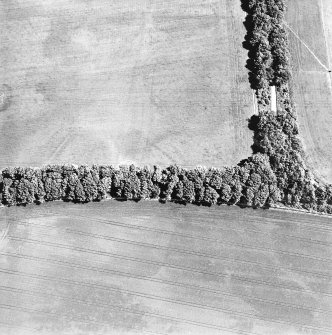 Oblique aerial view centred on the cropmarks of the pit-alignment with enclosure adjacent, taken from the SW.