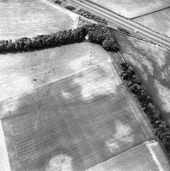 Castlesteads, oblique aerial view, taken from the ENE, centred on the cropmarks of a pit-alignment.