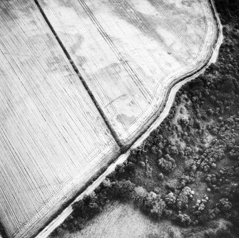 Oblique aerial view.