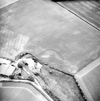 Oblique aerial view centred on the cropmarks of the enclosures, taken from the NNW.
