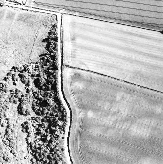 Oblique aerial view centred on the cropmarks of the settlement, taken from the NW.