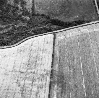 Oblique aerial view.