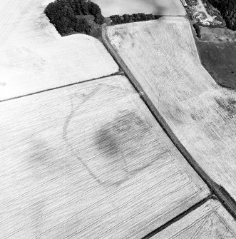 Chalkieside, oblique aerial view, taken from the WSW, centred on the cropmarks of an enclosure.