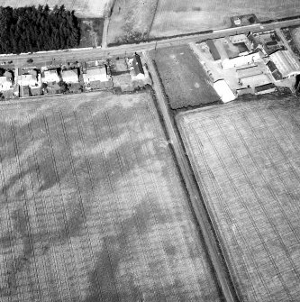 Chesterhill, enclosure (possible): oblique air photograph