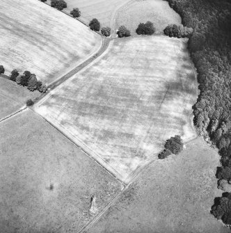 Oblique aerial photograph