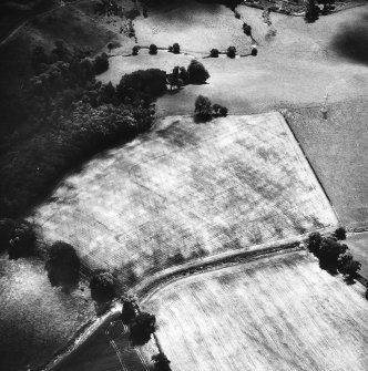 Oblique aerial photograph