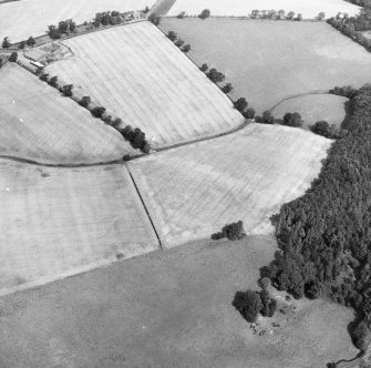 Oblique aerial photograph