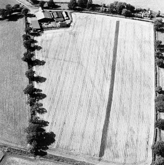 Woodhead, oblique aerial view, taken from the SE, centred on the cropmarks of the N corner of a Roman enclosure.