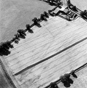 Woodhead, oblique aerial view, taken from the ENE, centred on the cropmarks of the N corner of a Roman enclosure.