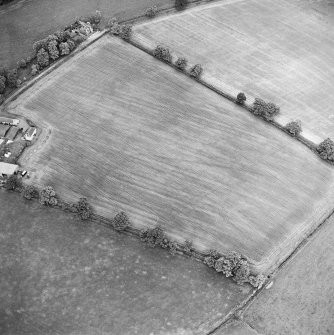 Oblique aerial view centred on the cropmarks of the Roman enclosure, taken from the SSW.