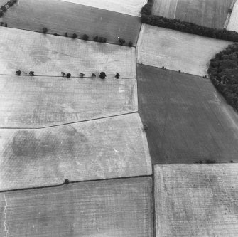 Oblique aerial photograph