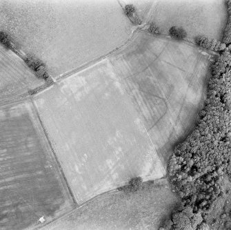 Oblique aerial photograph