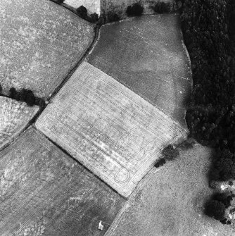 Oblique aerial photograph