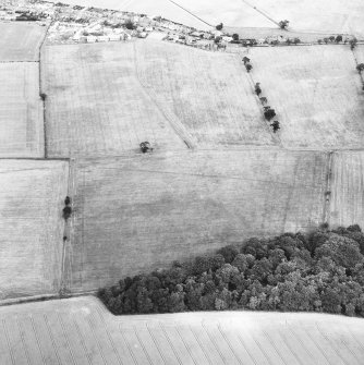 Oblique aerial photograph