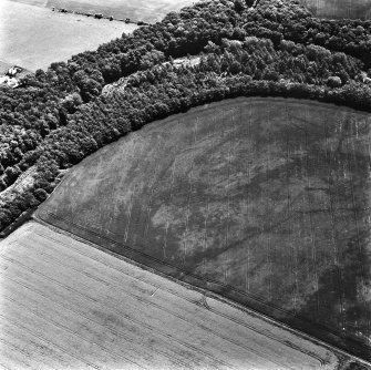 Oblique aerial view.