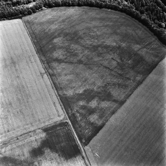 Oblique aerial view.