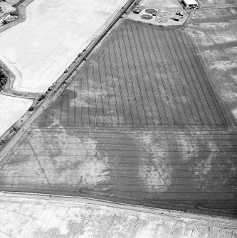 Howe Mire, oblique aerial view, taken from the SW, centred on cropmarks including a linear cropmark. Part of a field-system is visible in the bottom left-hand corner of the photograph.