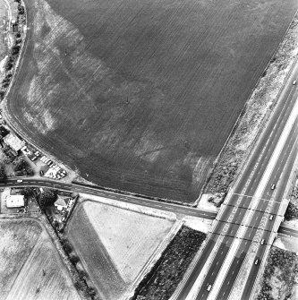 Old Craighall, oblique aerial view, taken from the E, centred on a linear cropmark.