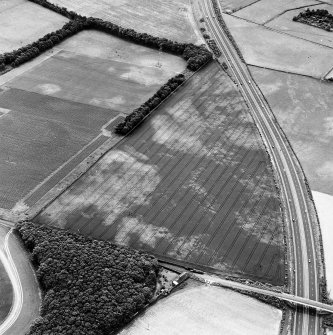 Monkton Lodge and Castlesteads, oblique aerial view, taken from the NNE, centred on a series of linear cropmarks and pits. Cropmarks of two pit-alignments are visible in the top half of the photograph.