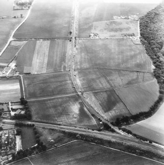 Inveresk: oblique air photograph of Roman temporary camps, enclosure and linear cropmarks