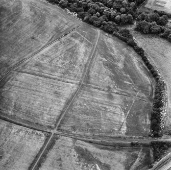 Oblique aerial view.