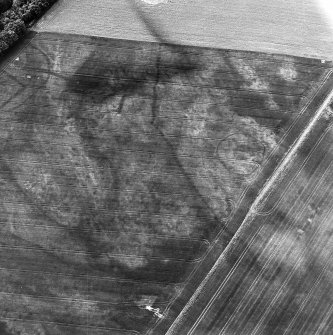 East Field, Inveresk: oblique air photograph of palisaded homestead, enclosures, ring-ditches and pit alignment.